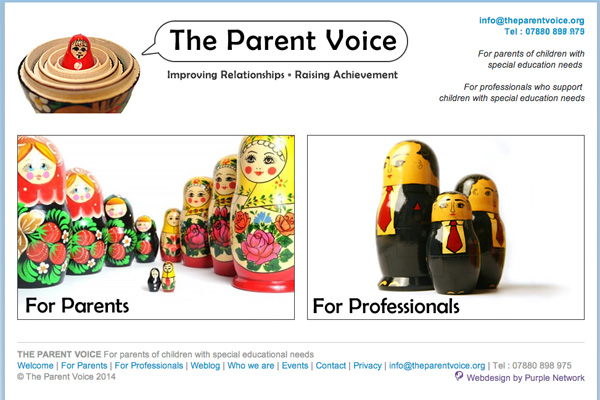 Brochure Website for Special Needs Children